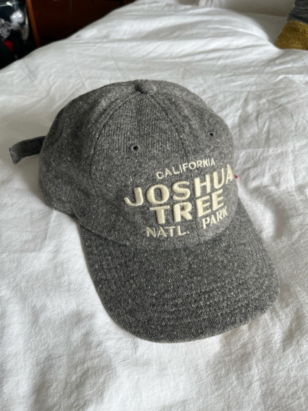 NWT Joshua Tree National Park Gray Baseball Cap